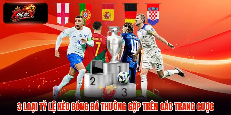 3 loại tỷ lệ kèo bóng đá thường gặp trên các trang cược