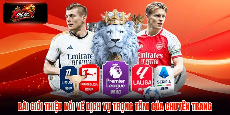 Bài giới thiệu nói về dịch vụ trọng tâm của chuyên trang