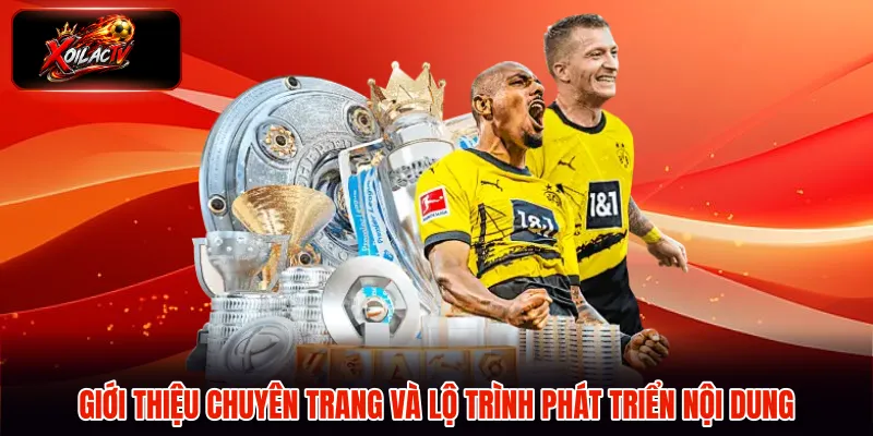 Giới thiệu chuyên trang và lộ trình phát triển nội dung