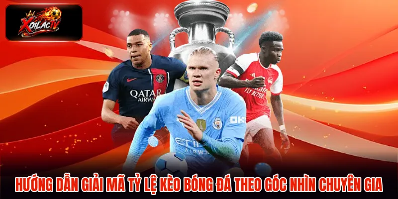 Hướng dẫn giải mã tỷ lệ kèo bóng đá theo góc nhìn chuyên gia